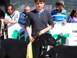 2019_ausstellung polling_387